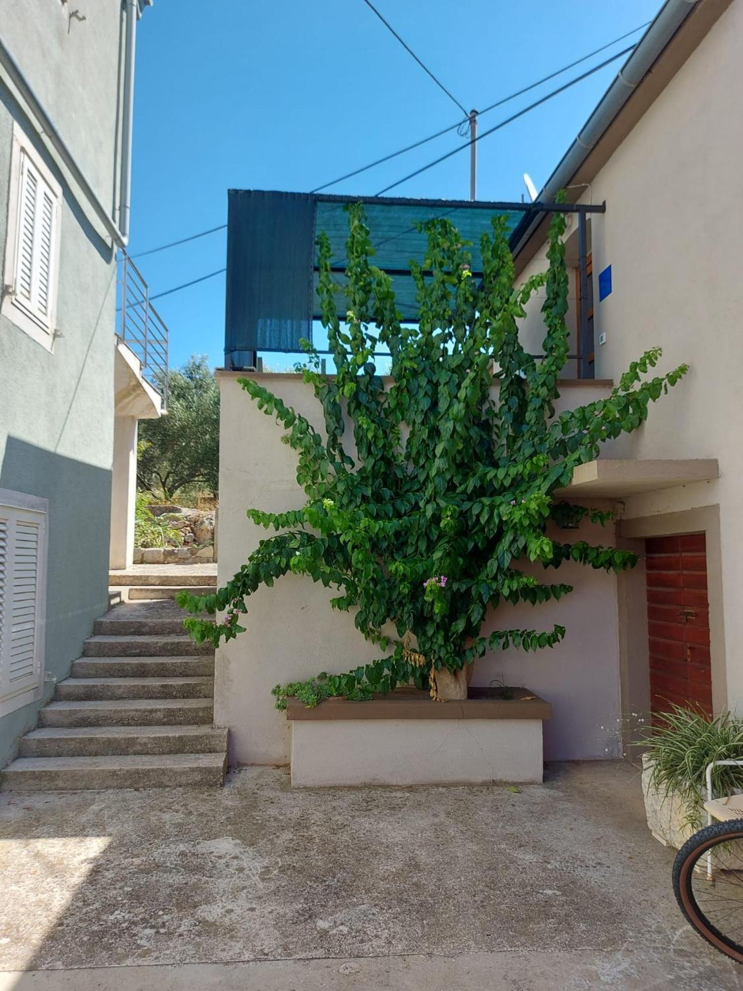 Apartmani Bugenvilija Brbinj Zewnętrze zdjęcie